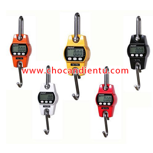 Cân treo điện tử 100kg