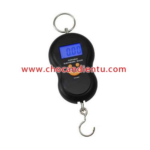 Tổng quan về cân treo- khái niệm, phân loại, các loại cân treo